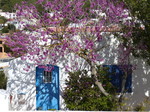 FZ026690 Blue door framed by purple flowers.jpg